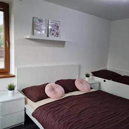 Vila Max - Whirlpool & Bazen & Sauna Velke Losiny Exterior photo