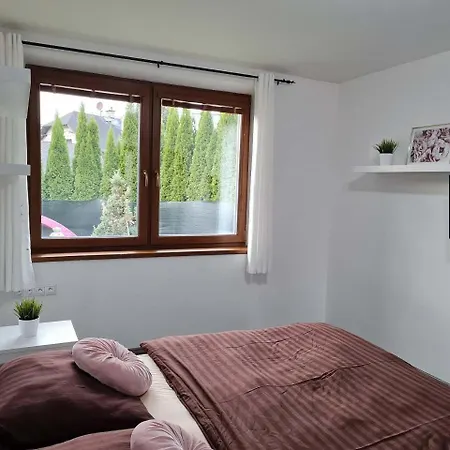 Vila Max - Whirlpool & Bazen & Sauna Velke Losiny Exterior photo