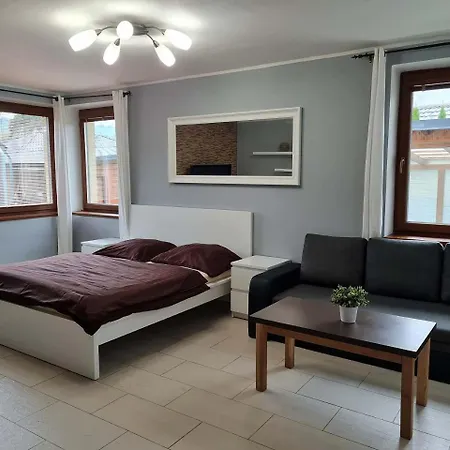 Vila Max - Whirlpool & Bazen & Sauna Velke Losiny Exterior photo