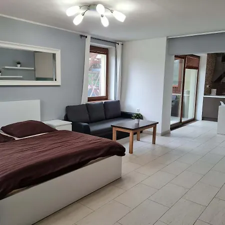 Vila Max - Whirlpool & Bazen & Sauna Velke Losiny Exterior photo