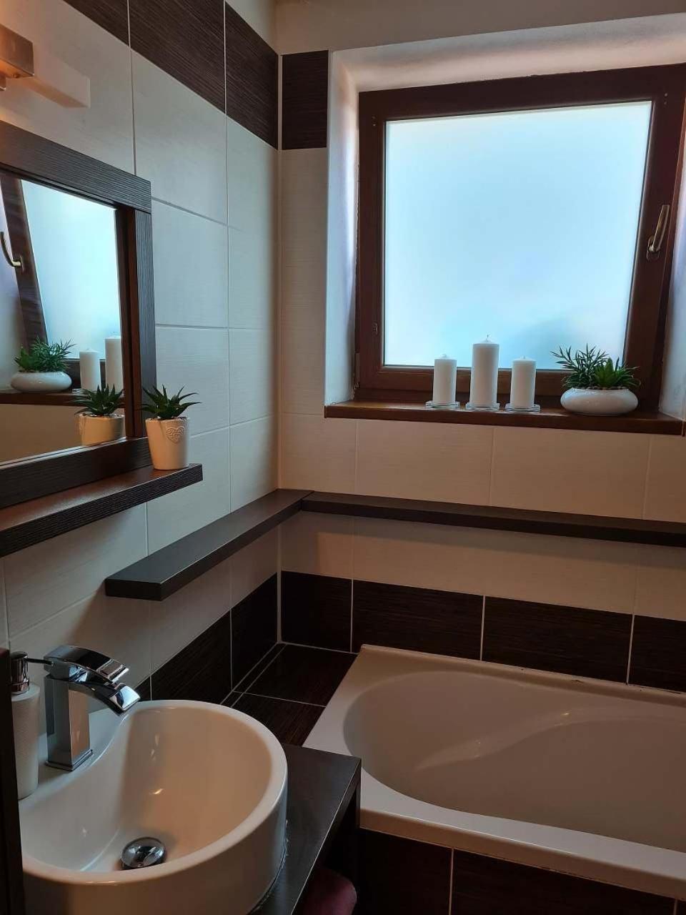 Max - Whirlpool & Bazen & Sauna Holiday home Velke Losiny